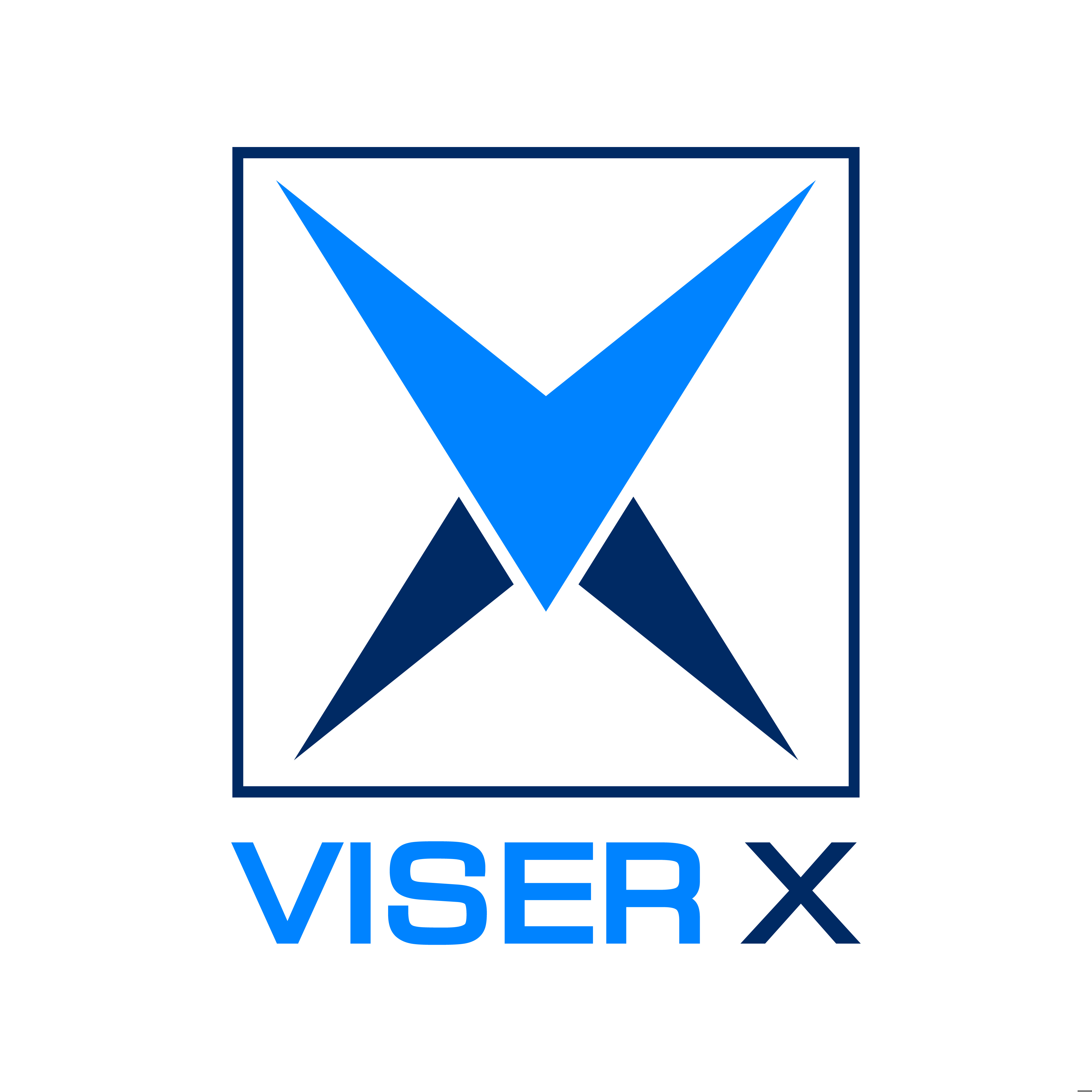 VISER X LIMITED