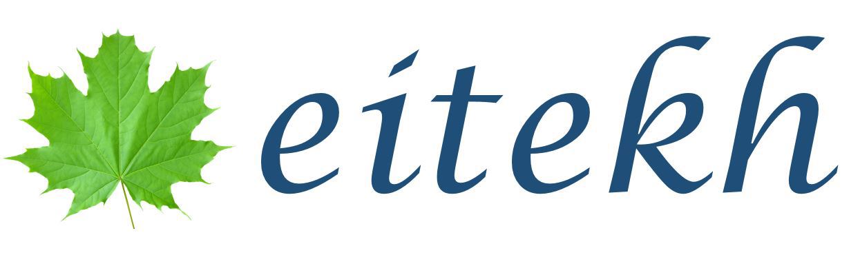 kemon Review Company logo