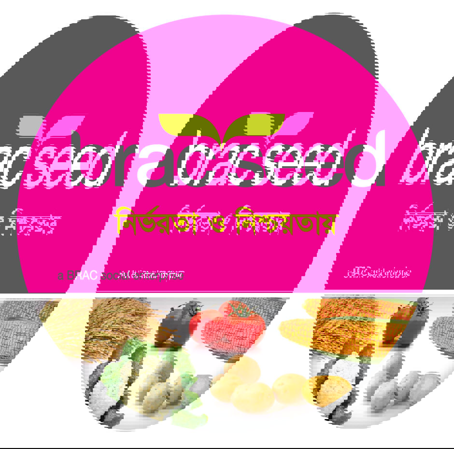 BRAC Seed and Agro Enterprises