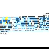 National Development Engineers Ltd. (NDE)