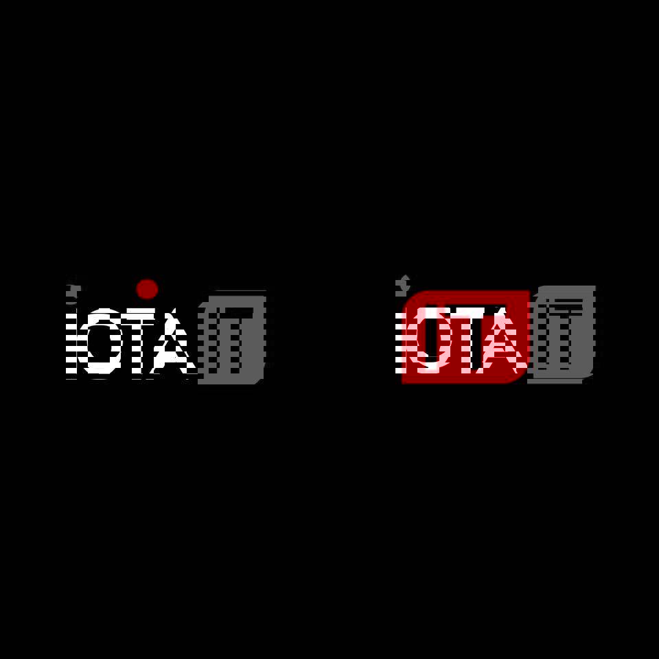 IOTA INFOTECH LIMITED