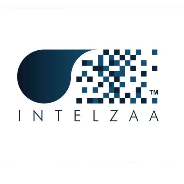 M/S Intelzaa