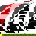 kemon Review Company logo