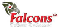 kemon Review Company logo