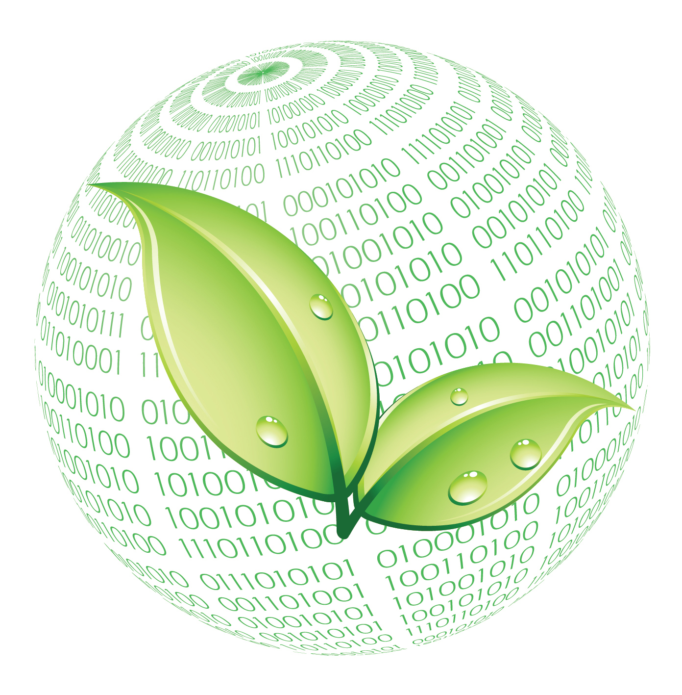 Binate Solutions Ltd.