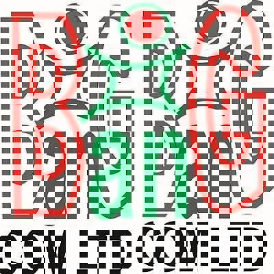 Big Bang Computer Limited