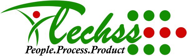 Information Technology Solutions and Services