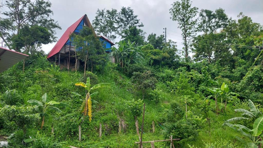 6 View Hill Resort Bandarban