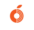 ORANGE IT LTD.